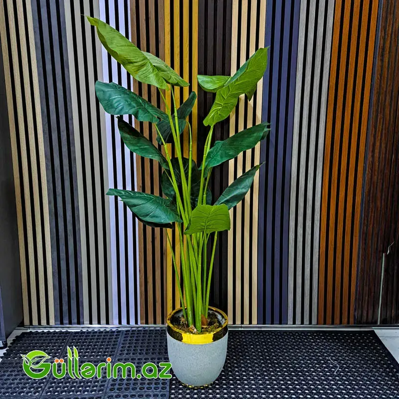 Süni Strelitsiya (Cənnət Quşu Bitkisi)