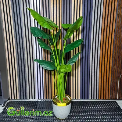 Süni Strelitsiya (Cənnət Quşu Bitkisi)