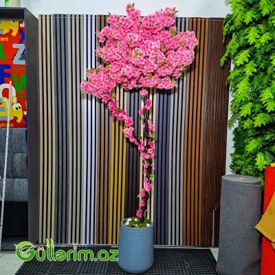 Süni Sakura Ağacı (Yapon Albalı Çiçəyi)