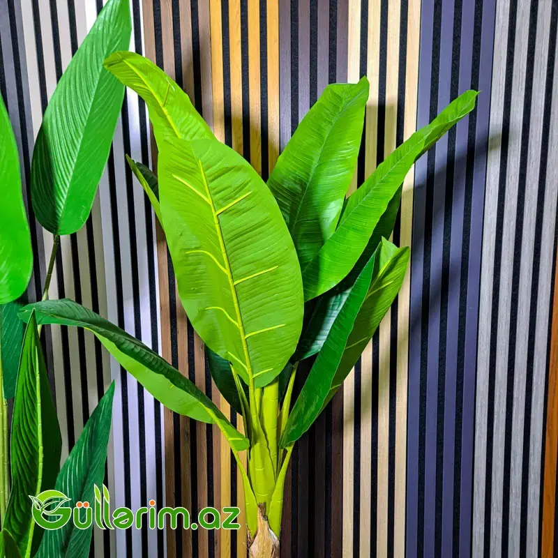 Süni Strelitsiya (Cənnət Quşu Bitkisi)