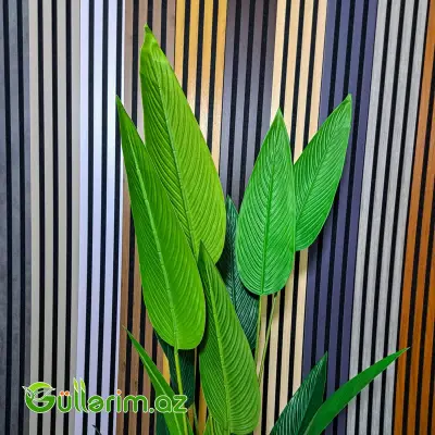 Süni Strelitsiya (Cənnət Quşu Bitkisi)