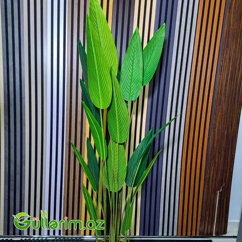 Süni Strelitsiya (Cənnət Quşu Bitkisi)