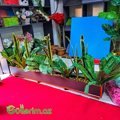 Süni bitki kompozisiya