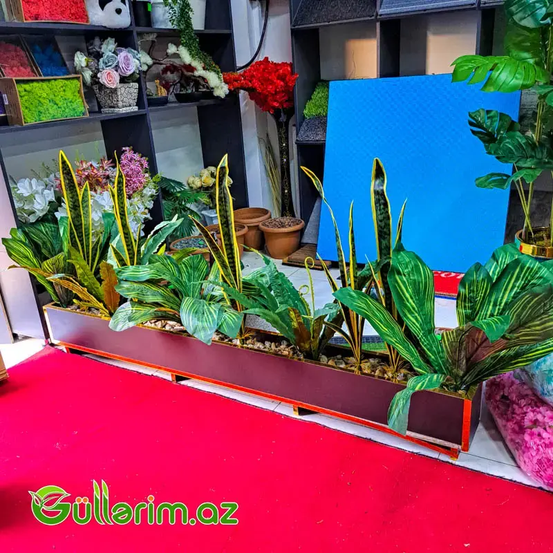 Süni bitki kompozisiya