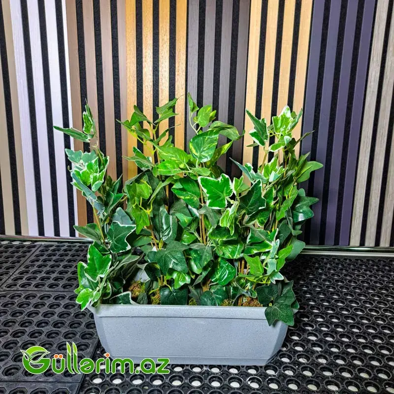 Süni bitki kompozisiya