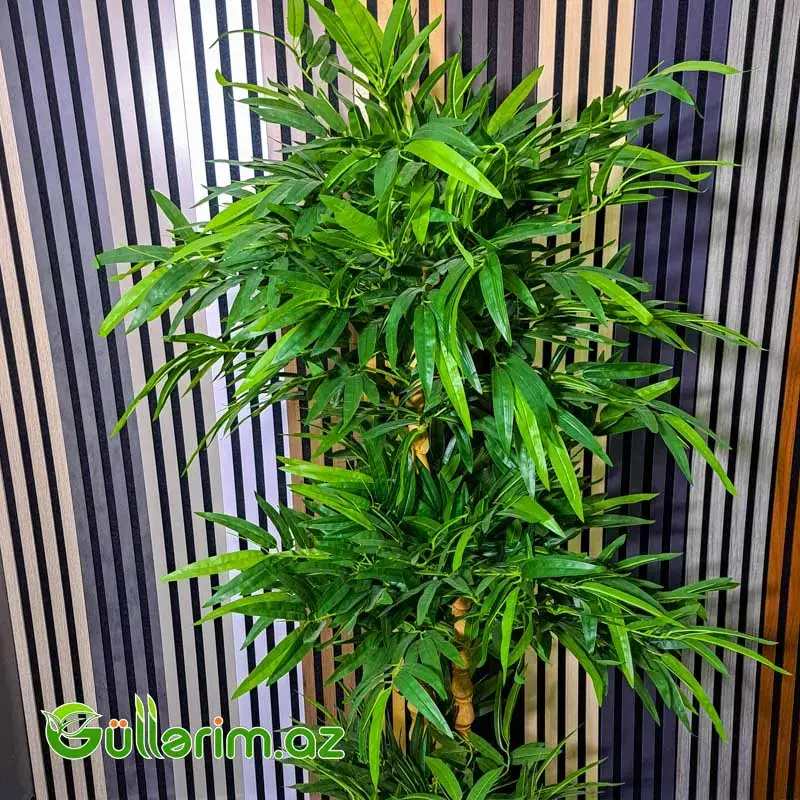 Bambuk Bitkisi (Artificial Bamboo Plant)