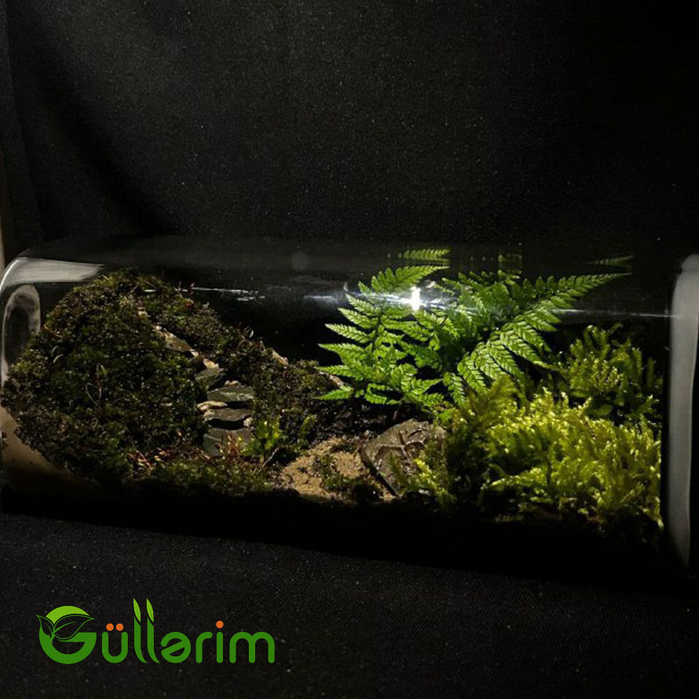Təbiət Terrariumu