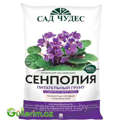 Senpoliya (Fialka) qidalandırıcı torpaq