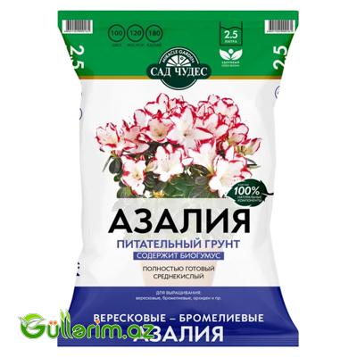 Azaliya qidalandırıcı torpaq