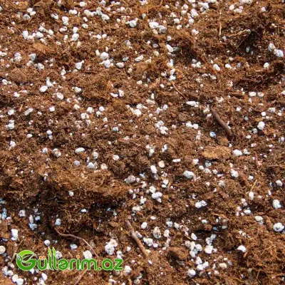 SkarMiks Universal Torf Substratı 250L